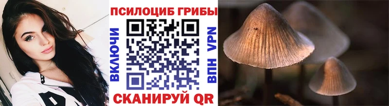 Псилоцибиновые грибы MAGIC MUSHROOMS  Барабинск 
