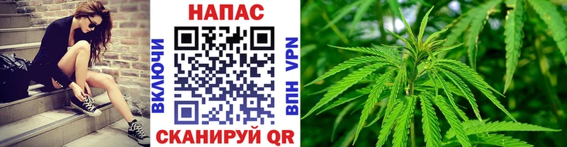 Бошки Шишки Amnesia Барабинск